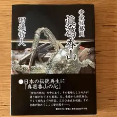 2025年最新】真葛 香山の人気アイテム - メルカリ