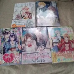 よし様専用　やり直せるみたいなので、今度こそ憧れの侍女を目指します!1