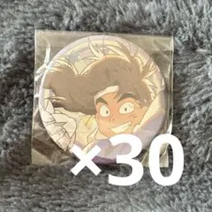 忍たま乱太郎 竹谷八左ヱ門 缶バッジ ヴィンテージ