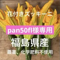 福島県産 花付きズッキーニ 農薬化学肥料不使用のサムネイル