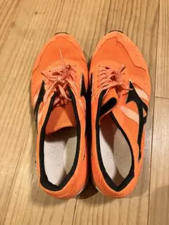 Mizuno Wave Cruize 26.5cm