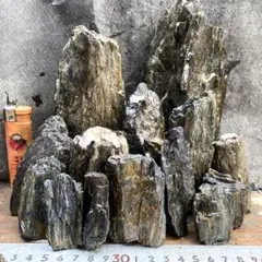 2[新品 親石付]清流石12キロ☆水槽 レイアウト 青龍石 龍王石 気孔石