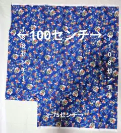 Item thumbnail for item 63ea7abf-1a1c-48b7-bd87-e3f4b7754356