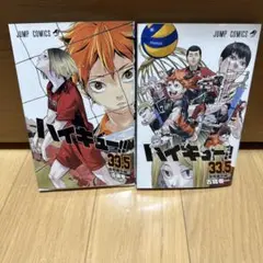 ハイキュー ゴミ捨て場の決戦 33.5巻