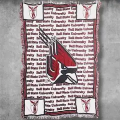 BOJB チーム ラグ USA製 大学 カーディナルズ タペストリー 絨毯