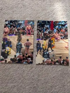 2025年 大相撲 大阪場所 尊富士 生写真 ２枚