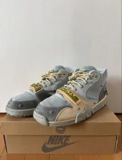 希少NIKE エアトレーナー1 SP “コリアンダー”31cm - メルカリ