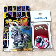 サラブ烈闘&ぱかぱかばっじゴールドシップセット✨