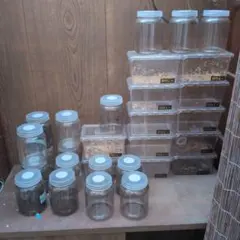 Item thumbnail for item 5563559d-9a3f-4011-8b96-8118eb50d09d