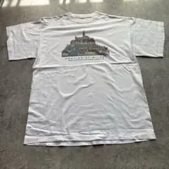 1989年 ラファエロ アテネの学堂 ヴィンテージ hanes L 絵画T - メルカリ