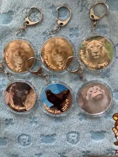 平川動物公園 アクリルキーホルダーセット