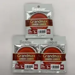 B5-1070シーガー グランドマックスショックリーダー24lb 30m 3点のサムネイル