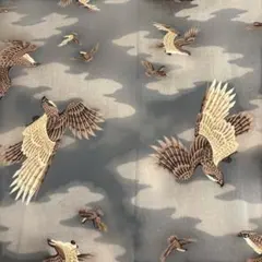 Item thumbnail for item 9f2075b4-2389-4b3d-9c4a-4af098b28fd9