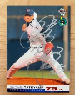 2025年最新】館山 サインの人気アイテム - メルカリ