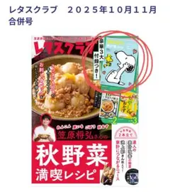 SNOOPY 家計簿 2026【レタスクラブ 2025年10月11月合併号付録】