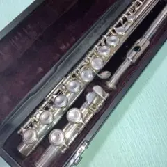 Item thumbnail for item 35f529c9-580c-4896-9ac3-4075c235e5dd