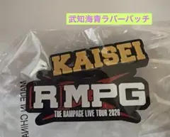武知海青ラバーバッチセット