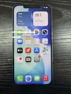 iPhone12 Pro Max 256GB ブラック｜電池100％｜動作良好