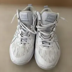 asics バスケットボールシューズ ホワイト