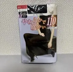 ATSUGI やわらかくて暖かい 110デニール タイツ 2足組