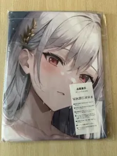 アニメ アニメキャラ 萌タオル バスタオル タペストリー ブランケット
