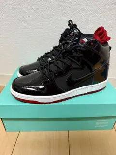 NIKE SB Zoom Dunk High TR QS