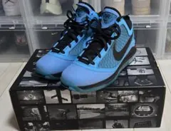 2025年最新】nike lebron 7の人気アイテム - メルカリ