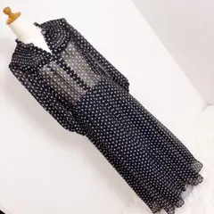 ZARA 水玉模様のシースルーロングドレス　サイズL