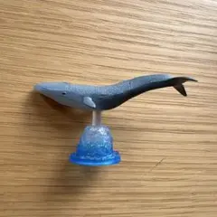 シロナガスクジラのサムネイル