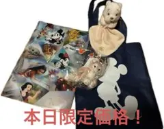 ディズニー ぬいぐるみバッグクリアファイルセット