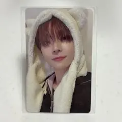 &TEAM ニコラス NICHOLAS ふわふわアニマルトレカ 雪明かり