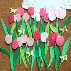 チューリップセット①