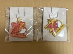 pokemonポケチャーム 30周年ロゴマスコット アチャモ ビリリダマ