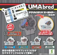 くすのき様 リクエスト 2点 まとめ商品