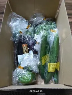 新鮮な野菜セット　高知県産　80サイズ ウメコ様専用　おまかせ