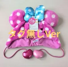 ディズニーランド パルパルーザ ファンダーランド ミニファン ファンキャップ