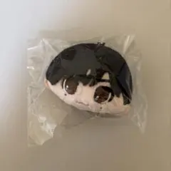 Lienel 武田創世 マスコット ぬいぐるみ - メルカリ