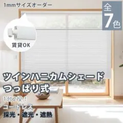 2026年最新】ハニカムシェード ツインの人気アイテム - メルカリ