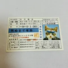 2025年最新】なめ猫免許証の人気アイテム - メルカリ