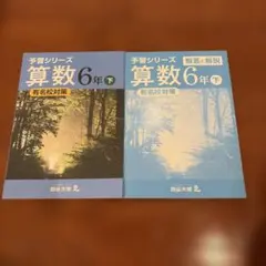 予習シリーズ 算数 6年下 有名校対策セット