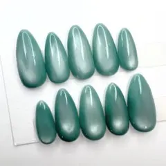 【980円シリーズ】水光マグネットネイル ニュアンス ちゅるんネイル うるうる