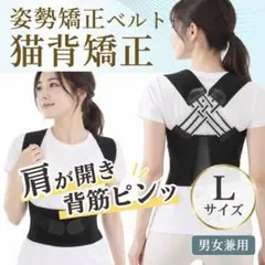 猫背矯正 姿勢サポーター 背筋ベルト 姿勢補正ベルト 男女兼用 肩甲骨サポート