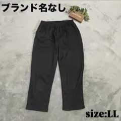 【ブランド名なし】裏起毛パンツ ネイビー（LL）