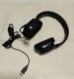 USBヘッドセット　両耳オーバーヘッドタイプ　HS-HP 30UBK　マイク付き