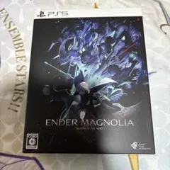 ENDER MAGNOLIA 限定盤　外装　画集　CD