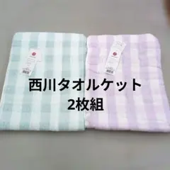 西川タオルケット2枚組薄手のサムネイル