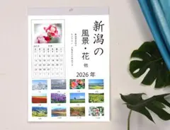 Item thumbnail for item ff83b097-5219-4433-acb2-f09768a31ef8