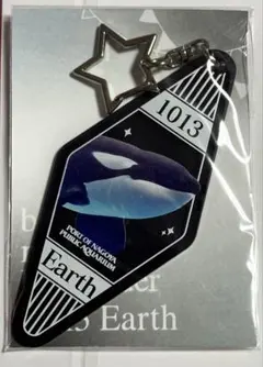 2026年最新】名古屋港水族館 アースの人気アイテム - メルカリ