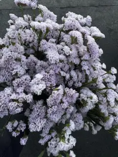 Bambi..☆様 リクエスト 2点 まとめ商品