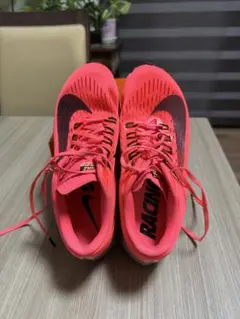 Nike Air Zoom Pegasus 39 25.5cm